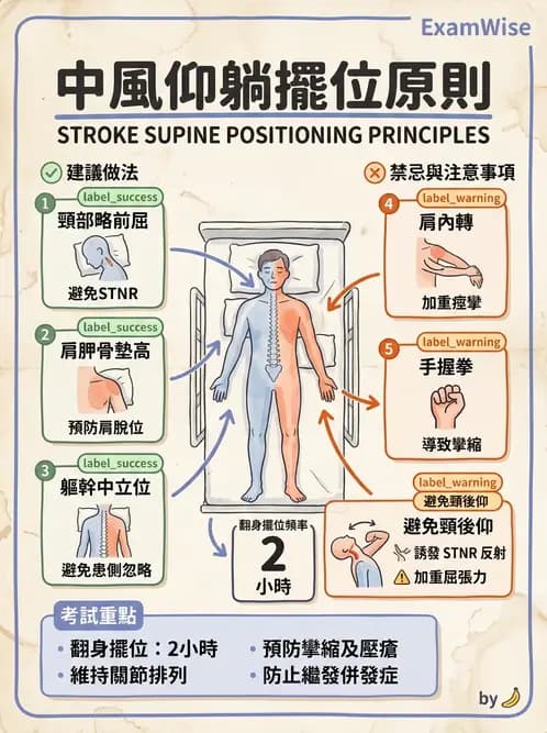 物治 - 腦中風治療手法應用 - AI 圖文解析預覽