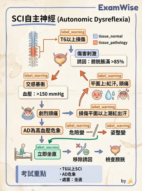 物治 - SCI併發症與呼吸管理 - AI 圖文解析預覽