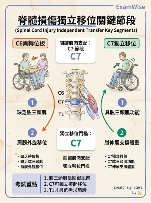 物治 - SCI功能預後與復健訓練 - AI 圖文解析預覽