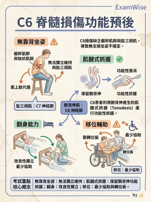 物治 - SCI功能預後與復健訓練 - AI 圖文解析預覽