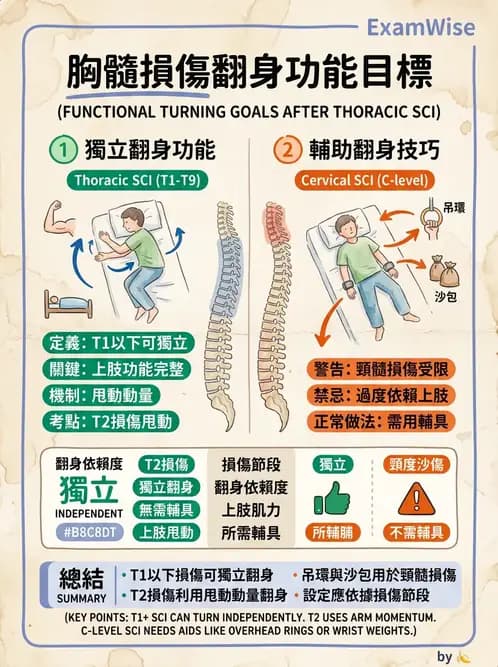 物治 - SCI功能預後與復健訓練 - AI 圖文解析預覽