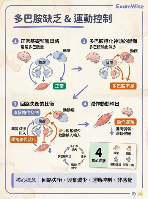 物治 - 巴金森氏病物理治療 - AI 圖文解析預覽