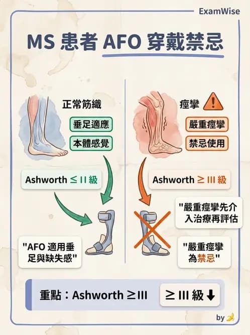 物治 - 多發性硬化症物理治療 - AI 圖文解析預覽