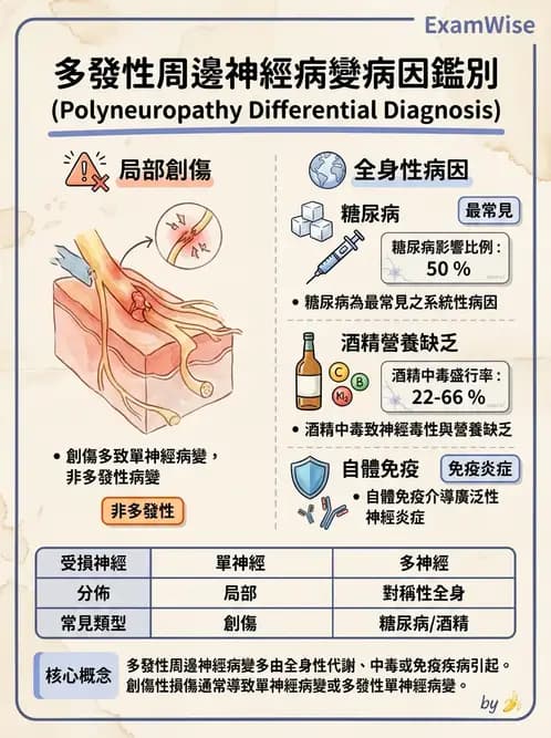 物治 - 周邊神經損傷與復健 - AI 圖文解析預覽