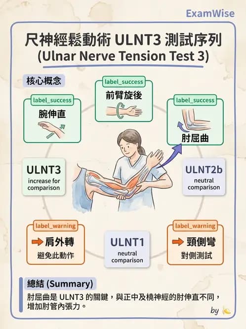 物治 - 頸椎評估與病理 - AI 圖文解析預覽