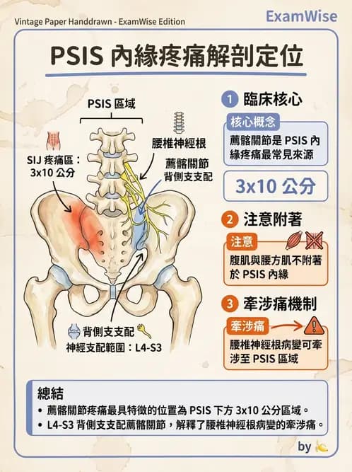 物治 - 薦髂關節評估與治療 - AI 圖文解析預覽