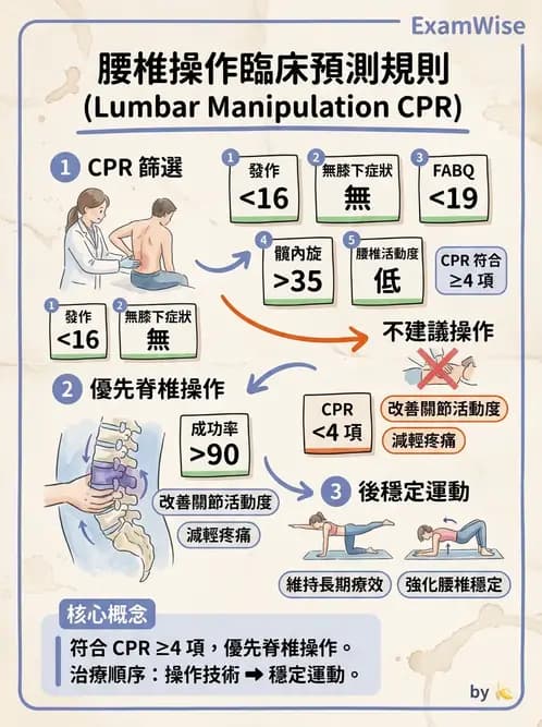 物治 - 腰椎穩定訓練與治療原則 - AI 圖文解析預覽