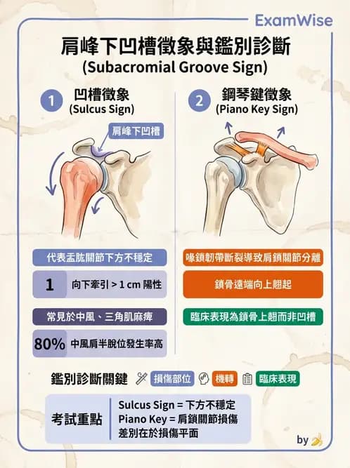 物治 - 肩關節不穩定與盂唇損傷 - AI 圖文解析預覽