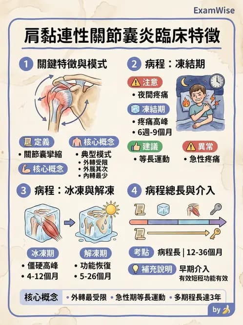 物治 - 冰凍肩與胸廓出口症候群 - AI 圖文解析預覽