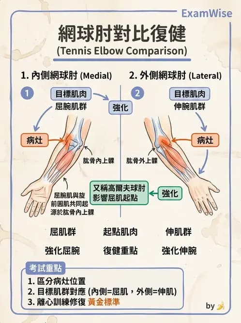 物治 - 肘及前臂關節 - AI 圖文解析預覽