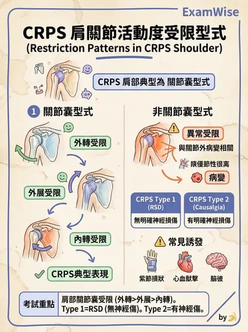 物治 - 腕關節疾病 - AI 圖文解析預覽