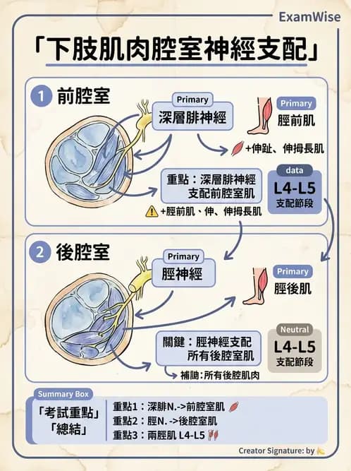物治 - 踝關節損傷與復健 - AI 圖文解析預覽