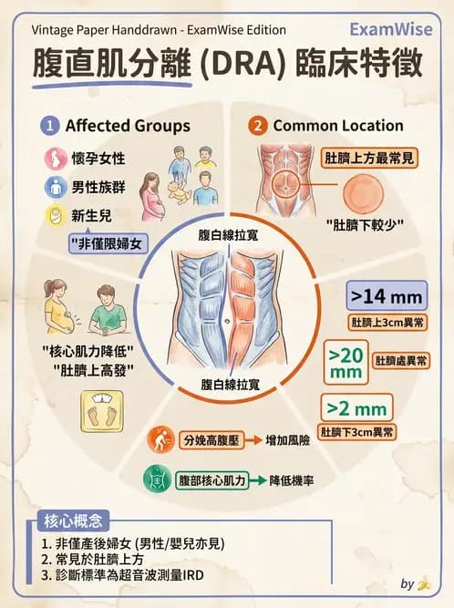 物治 - 女性健康 - AI 圖文解析預覽