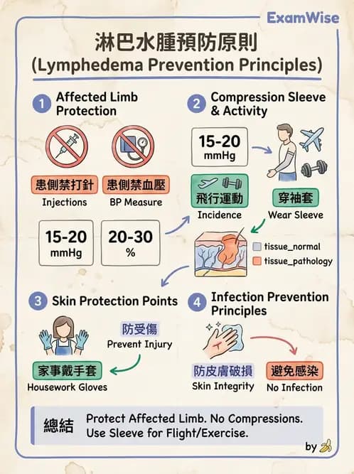 物治 - 皮膚與淋巴系統物理治療 - AI 圖文解析預覽