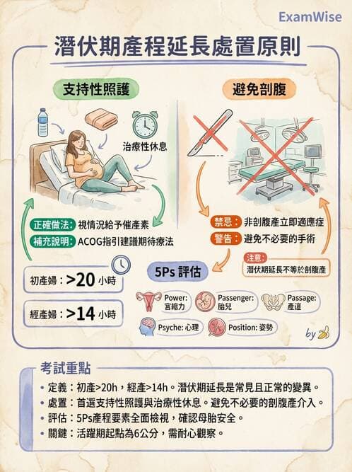 護理師 - 產程機轉與待產護理 - AI 圖文解析預覽