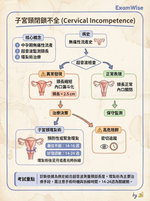 護理師 - 高危險妊娠 - AI 圖文解析預覽