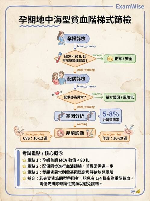 護理師 - 孕期營養心理與衛生政策 - AI 圖文解析預覽