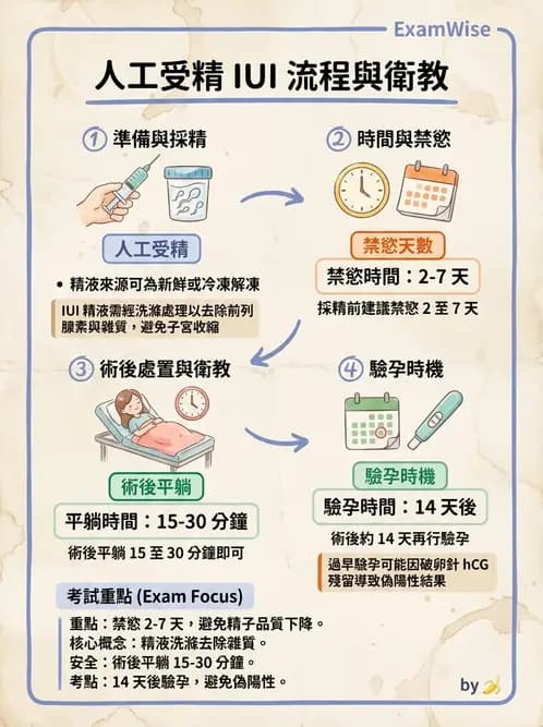 護理師 - 不孕症月經與更年期 - AI 圖文解析預覽