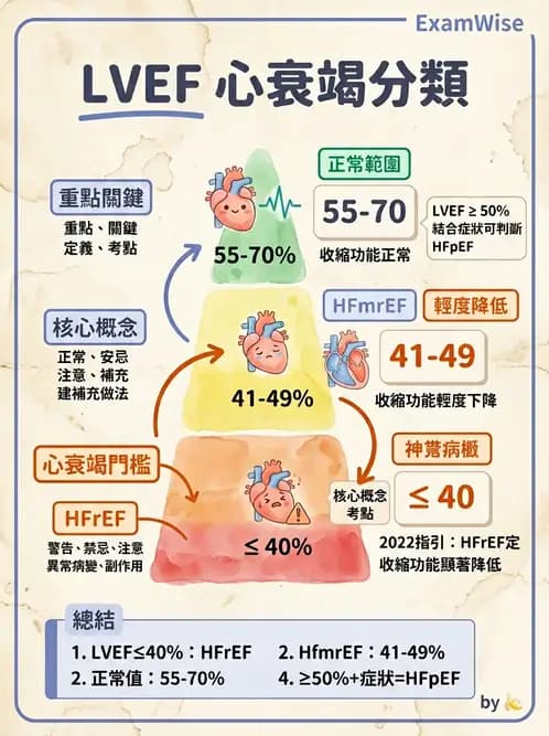 物治 - 循環解剖、生理與血流動力學 - AI 圖文解析預覽