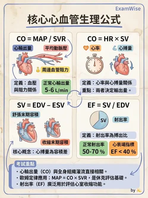 物治 - 循環解剖、生理與血流動力學 - AI 圖文解析預覽