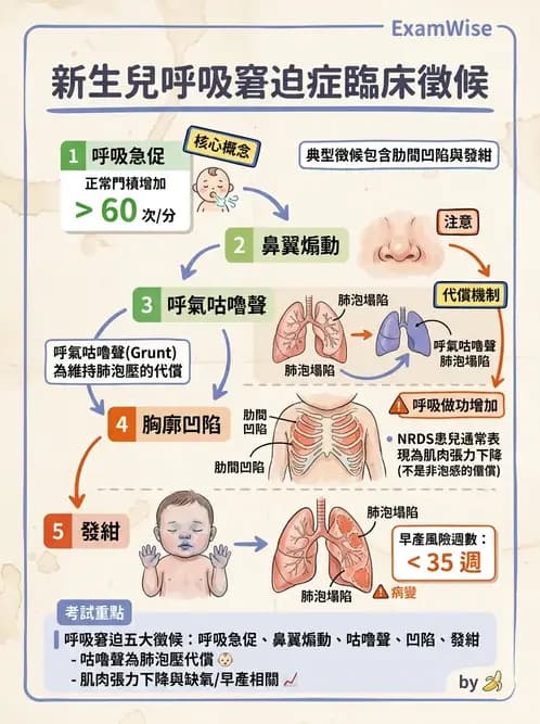 物治 - 小兒呼吸疾患與NICU物理治療 - AI 圖文解析預覽