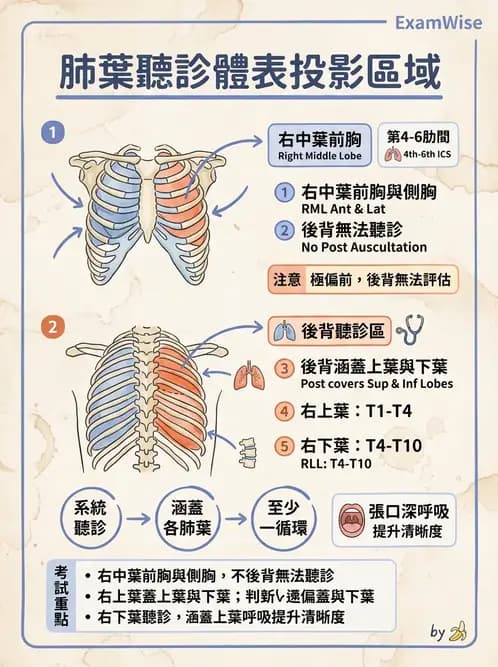物治 - 呼吸臨床評估技術 - AI 圖文解析預覽