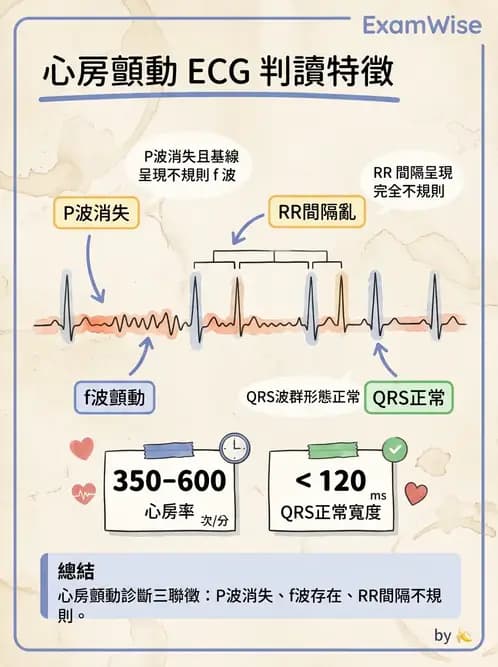 物治 - 心電圖判讀 - AI 圖文解析預覽