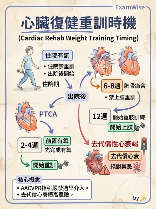 物治 - 心臟復健與運動處方 - AI 圖文解析預覽