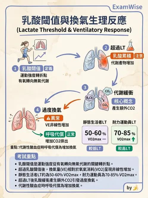 物治 - 運動生理學與能量代謝 - AI 圖文解析預覽