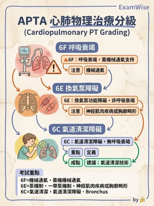 物治 - 胸腔手術、肺移植與呼吸器 - AI 圖文解析預覽