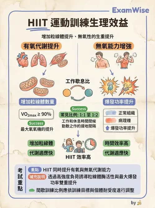 物治 - 運動篩檢與處方設計 - AI 圖文解析預覽