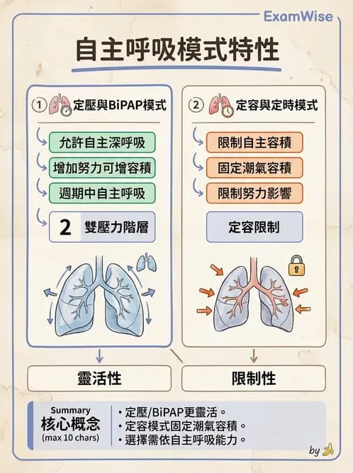 物治 - 胸腔手術、肺移植與呼吸器 - AI 圖文解析預覽
