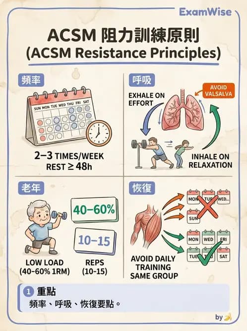物治 - 運動篩檢與處方設計 - AI 圖文解析預覽