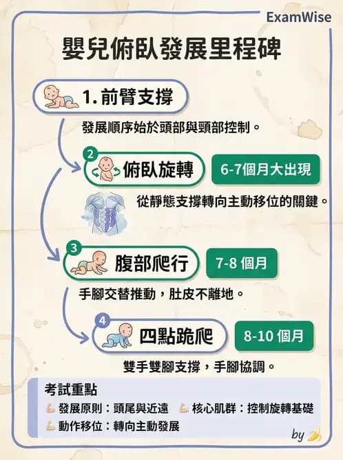 物治 - 兒童發展里程碑(動作與認知) - AI 圖文解析預覽