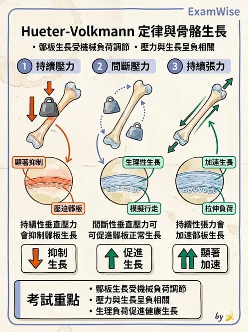 物治 - 小兒肌肉骨骼疾患物理治療 - AI 圖文解析預覽