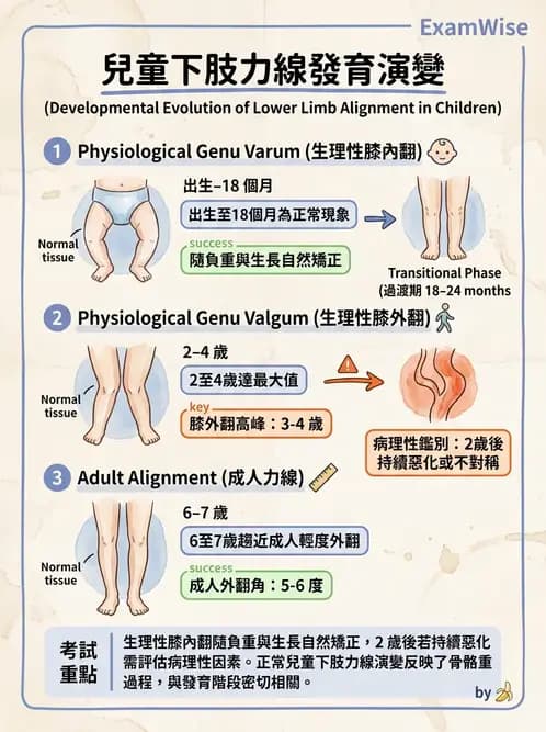 物治 - 兒童發展里程碑(動作與認知) - AI 圖文解析預覽