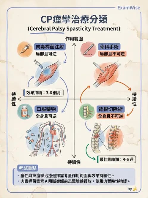 物治 - 腦性麻痺介入、手術與輔具 - AI 圖文解析預覽