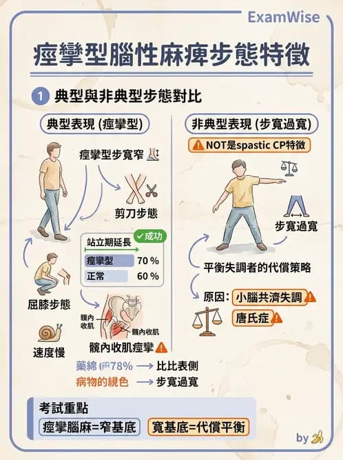 物治 - 腦性麻痺分類、評估與步態 - AI 圖文解析預覽