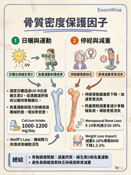 物治 - 骨骼生理與發展老化 - AI 圖文解析預覽