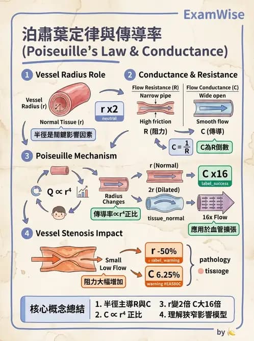物治 - 心臟血管生理 - AI 圖文解析預覽