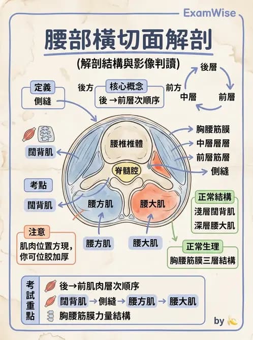 物治 - 軀幹肌動學與生物力學 - AI 圖文解析預覽