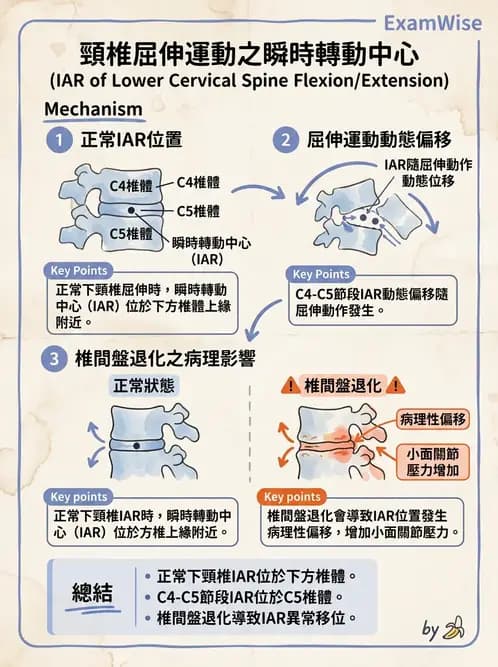 物治 - 頸椎肌動學與生物力學 - AI 圖文解析預覽