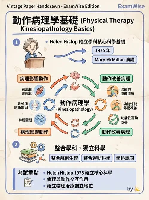 物治 - 歷史沿革與發展教育 - AI 圖文解析預覽