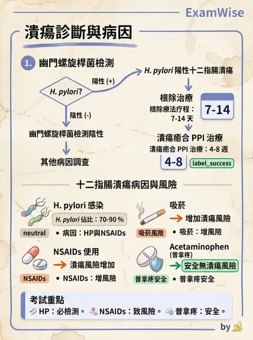 物治 - 內科疾病概論 - AI 圖文解析預覽