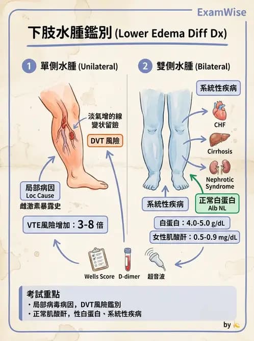 物治 - 心肺系統疾病 - AI 圖文解析預覽