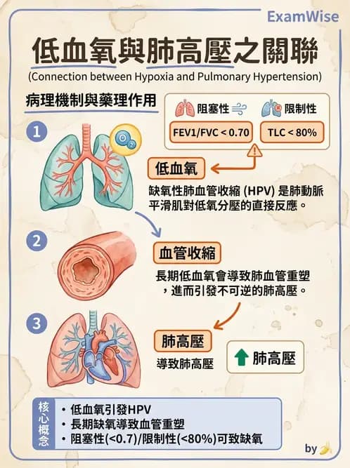 物治 - 心肺系統疾病 - AI 圖文解析預覽