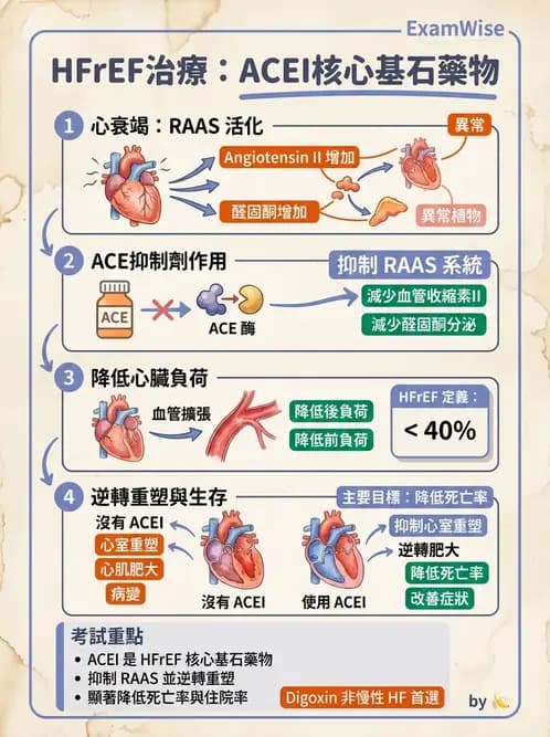 物治 - 心肺系統疾病 - AI 圖文解析預覽
