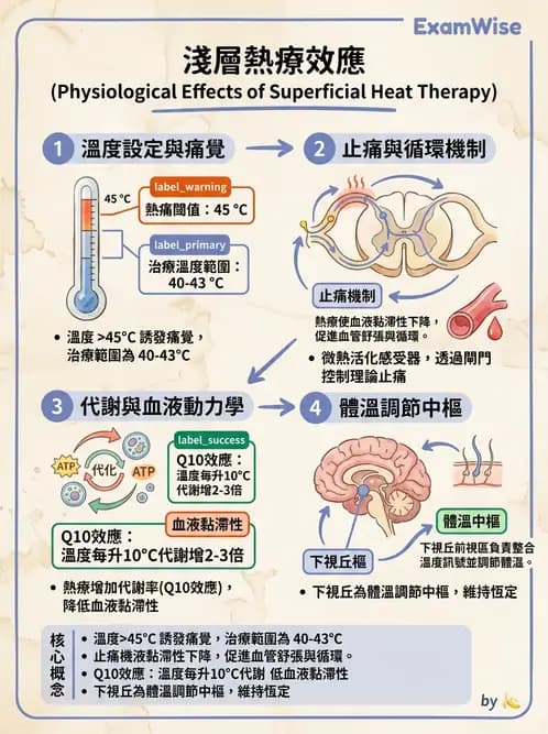 物治 - 溫度療法 - AI 圖文解析預覽