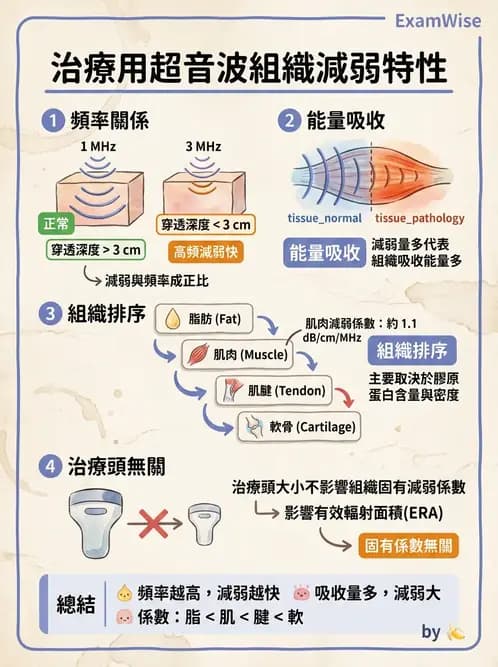 物治 - 超音波 - AI 圖文解析預覽