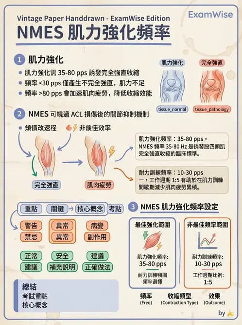 物治 - 神經肌肉電刺激 - AI 圖文解析預覽